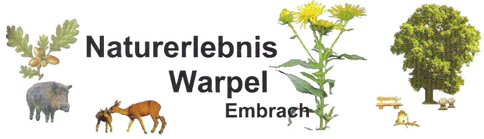 logo warpel